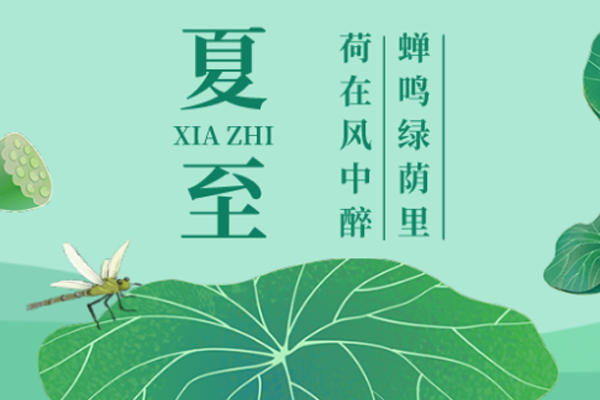 小田减肥 | 盛夏已至,时夏方长